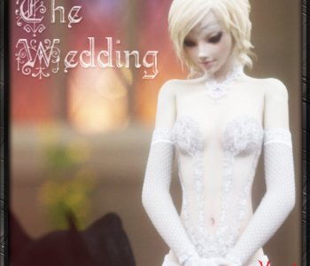 CGS102 - The Wedding Porn Comics